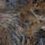 Керамогранит Meissen Keramik Interstellar многоцветный ректификат 60x120 A17548