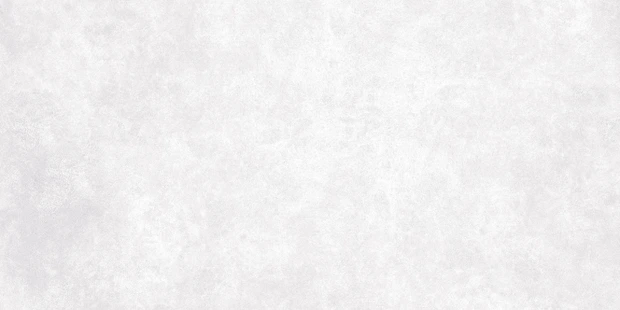Керамогранит Meissen Keramik Ideal светло-серый ректификат 44,8x89,8 A16666