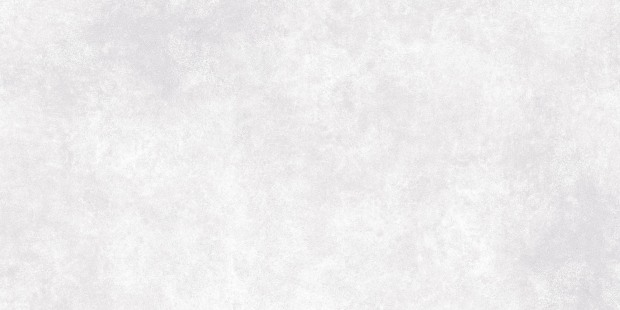 Керамогранит Meissen Keramik Ideal светло-серый ректификат 44,8x89,8 A16666