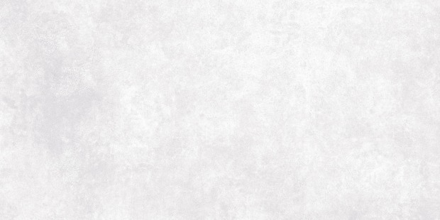 Керамогранит Meissen Keramik Ideal светло-серый ректификат 44,8x89,8 A16666