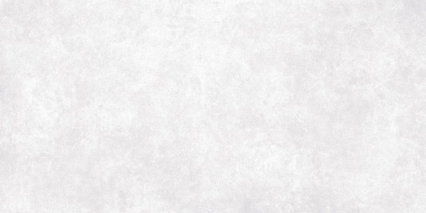 Керамогранит Meissen Keramik Ideal светло-серый ректификат 44,8x89,8 A16666