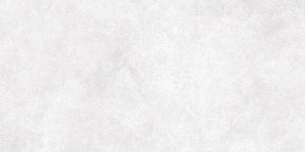 Керамогранит Meissen Keramik Ideal светло-серый ректификат 44,8x89,8 A16666