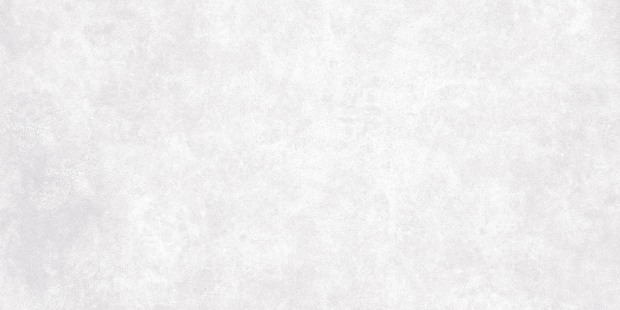 Керамогранит Meissen Keramik Ideal светло-серый ректификат 44,8x89,8 A16666