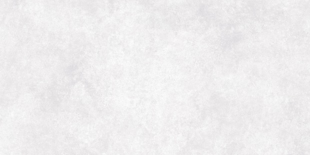 Керамогранит Meissen Keramik Ideal светло-серый ректификат 44,8x89,8 A16666